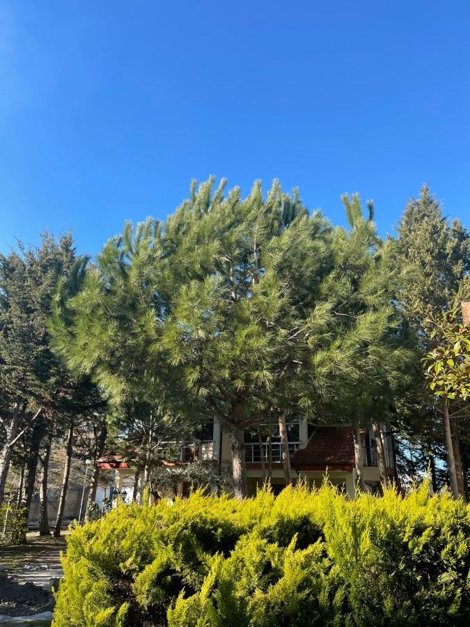 Hotel Garden Villa Ardo Golem  Esterno foto